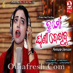 Tu Mo Ghruna Dekhibu - Sad Female Song